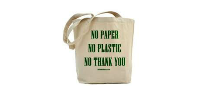 advantages and disadvantages of plastic bags essay
